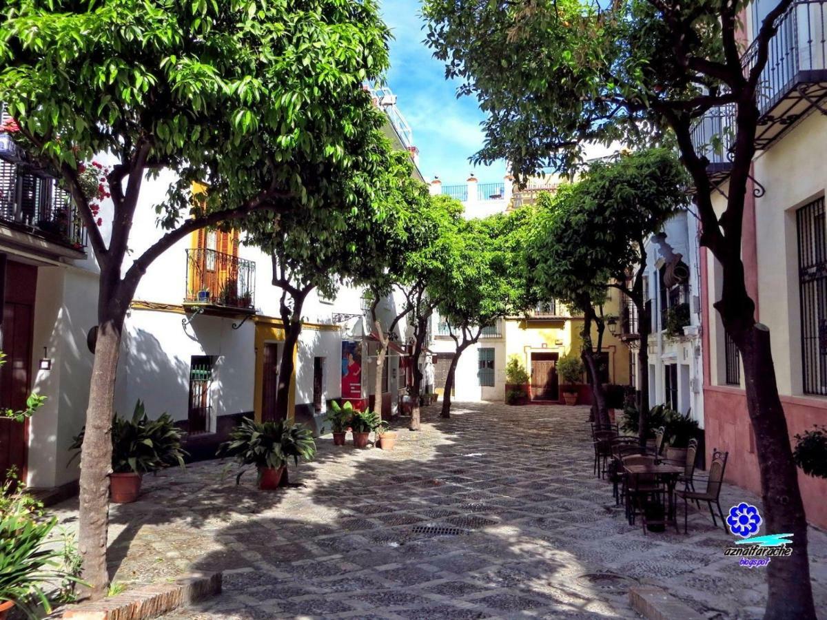 Wish Suite Juderia De Sevilla Dış mekan fotoğraf