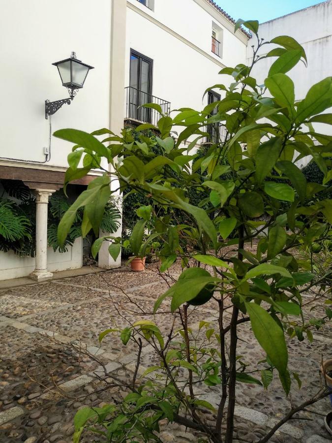 Wish Suite Juderia De Sevilla Dış mekan fotoğraf