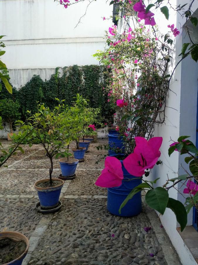 Wish Suite Juderia De Sevilla Dış mekan fotoğraf