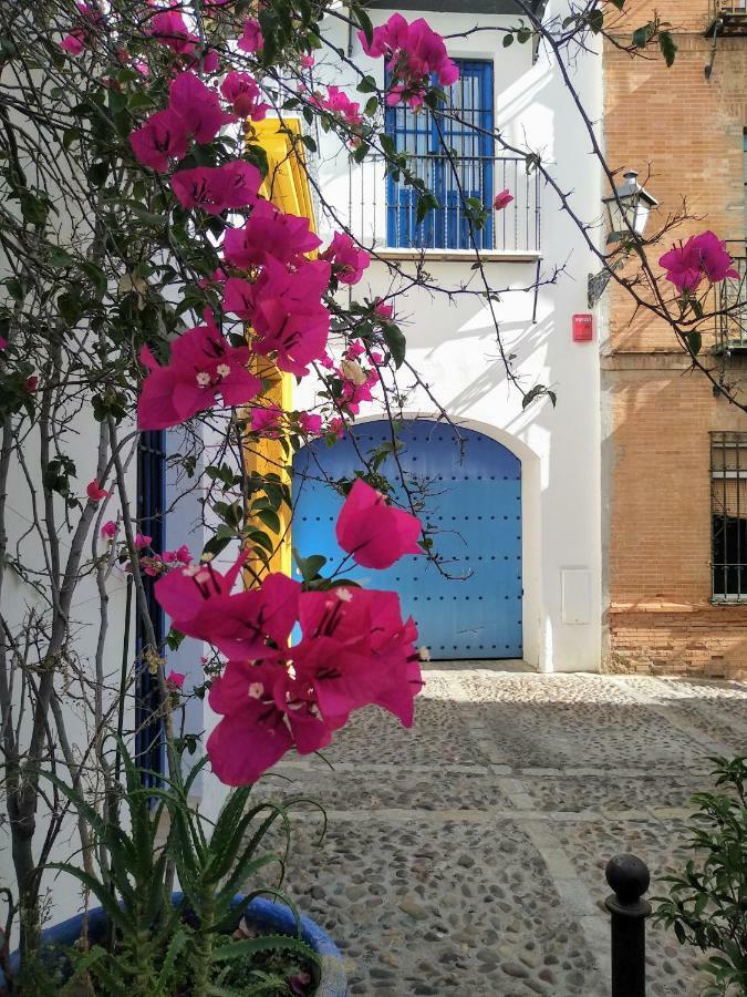 Wish Suite Juderia De Sevilla Dış mekan fotoğraf