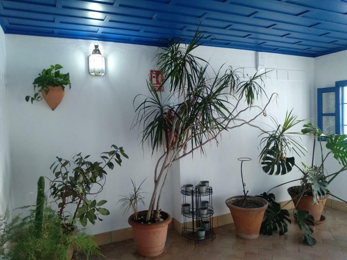 Wish Suite Juderia De Sevilla Dış mekan fotoğraf